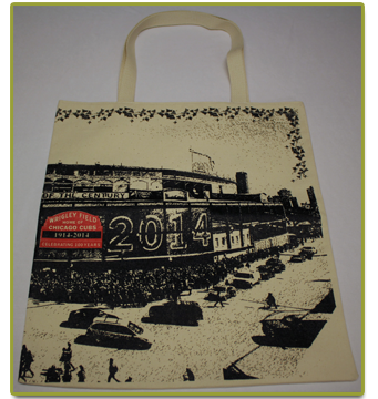 2014 Baseball Bag